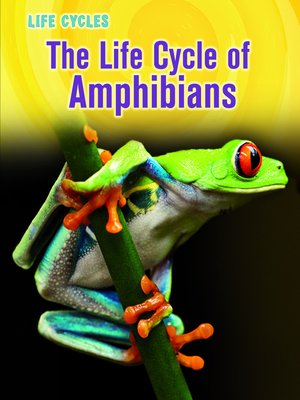 cover image of The Life Cycle of Amphibians